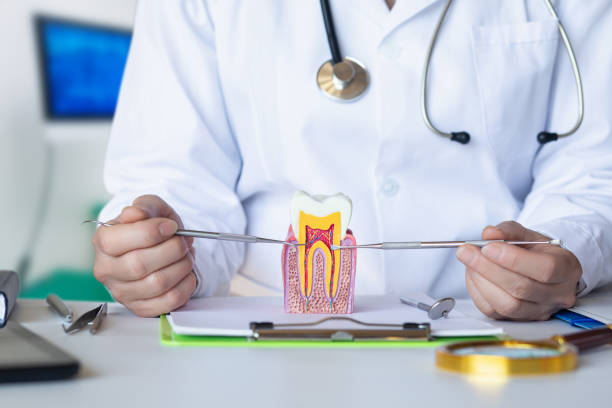 Best 24-Hour Emergency Dentist in Toftrees, PA